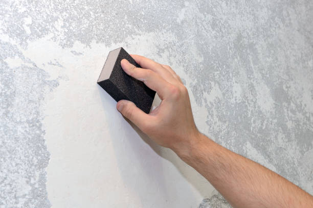 Best Crawl Space Mold Remediation  in Sunnyside, WA