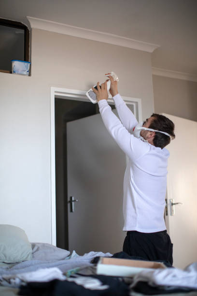 Best Basement Mold Removal  in Sunnyside, WA