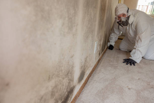 Best Post-Construction Mold Inspection  in Sunnyside, WA